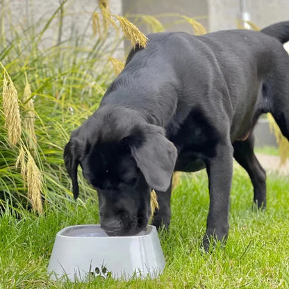 Woof1™ No-Spill Water Bowl